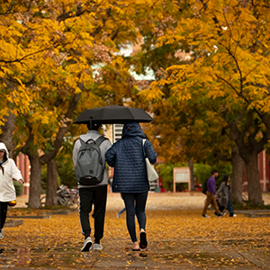 charitable remainder trust